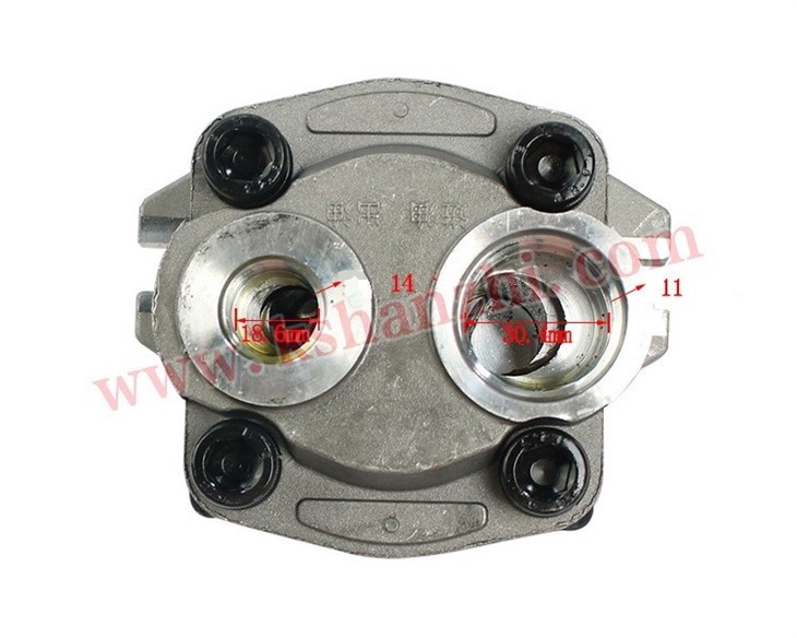 Forklift Parts R966-601100-000 Hydraulic Pump For CPQD30-35-RW7/WF491 best