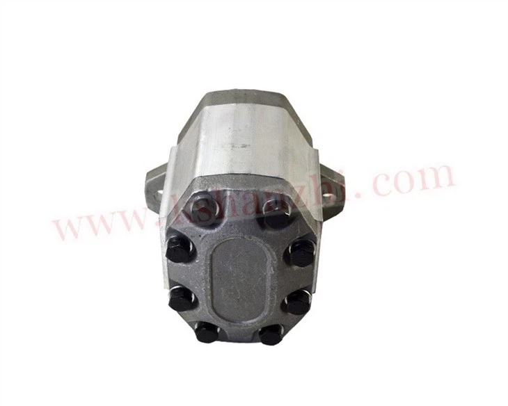 Hydraulic Pump For CPCD40~50 (R Series)/4105, R450-601300-000